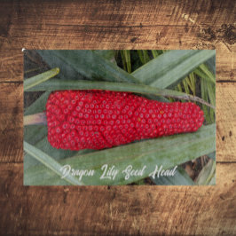 Dragon Lily Red Seed Head Schneidebrett