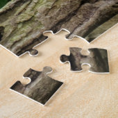 Dragon lizard sleeping along a Long Branch Puzzle (Seite)