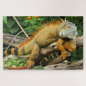 Dragon lizard sleeping along a Long Branch Puzzle (Horizontal)