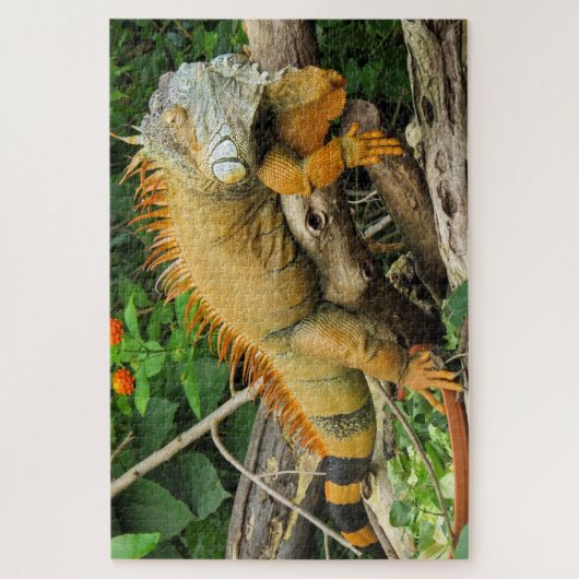 Dragon lizard sleeping along a Long Branch Puzzle (Vertikal)