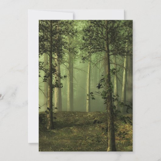 Dragon Magic Fantasy Birthday Invite Einladung (Rückseite)