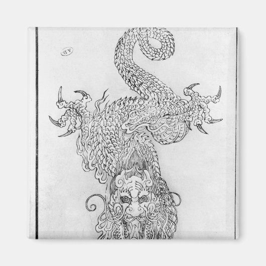 Dragon Magnet (Vorne)