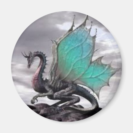 " Dragon Magnet! " Magnet (Vorne)