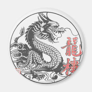 Dragon Martial Arts School Magnet