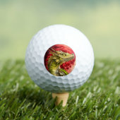 Dragon on Bloody Golfball (Insitu T-Shirt)