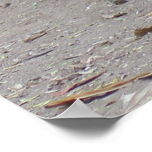 Dragon Portrait Poster (Ecke)