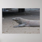 Dragon Portrait Poster (Vorne)