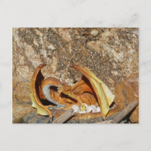Dragon Post Card Postkarte
