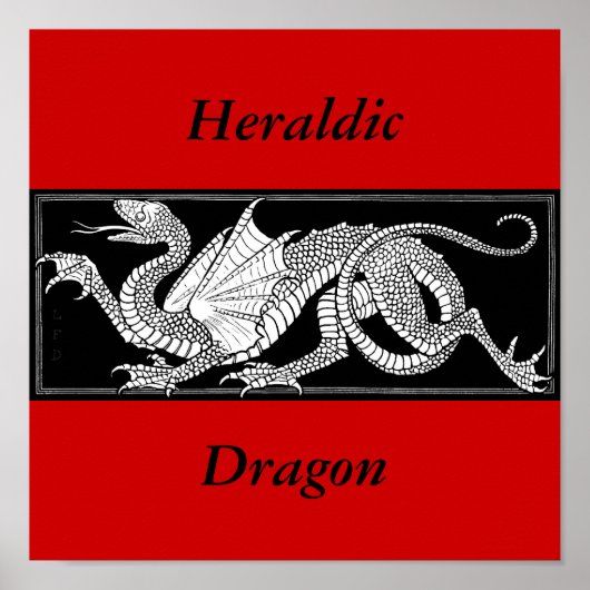 Dragon Poster (Vorne)