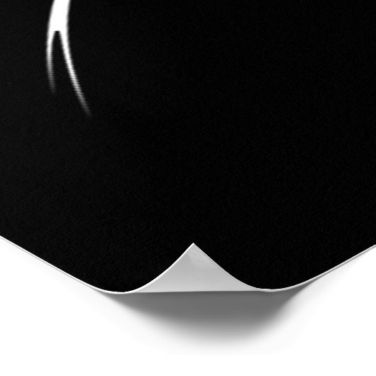 Dragon Poster (Ecke)