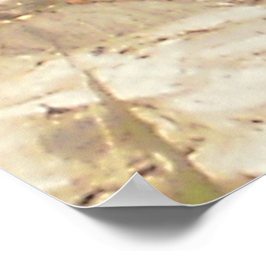 Dragon Poster (Ecke)