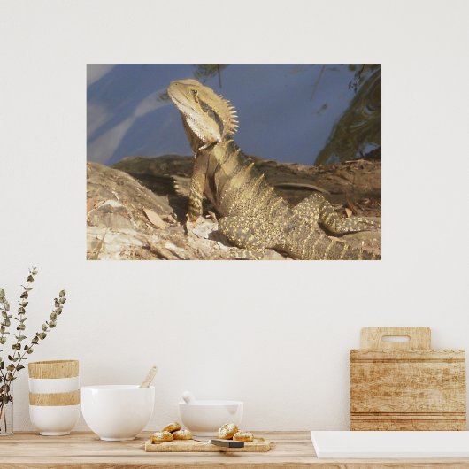 Dragon Poster (Küche)