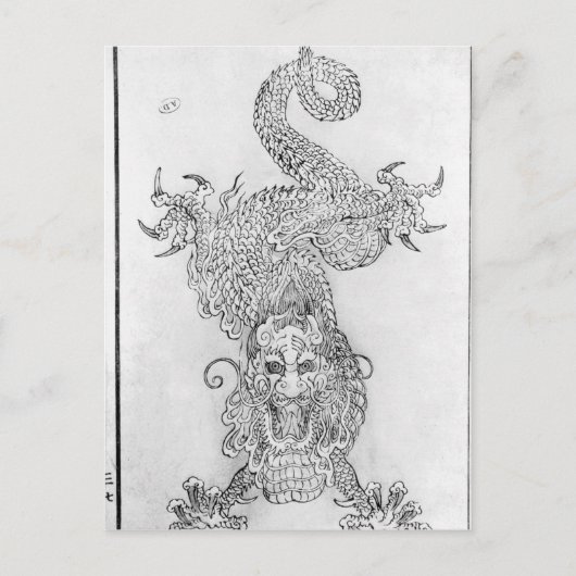 Dragon Postkarte (Vorderseite)