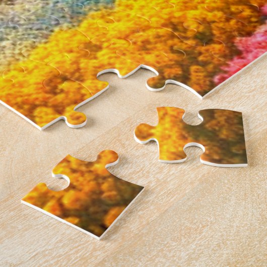 Dragon Puzzle (Seite)