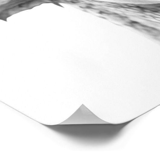 Dragon realistisches Portrait Kinderzimmer Poster (Ecke)