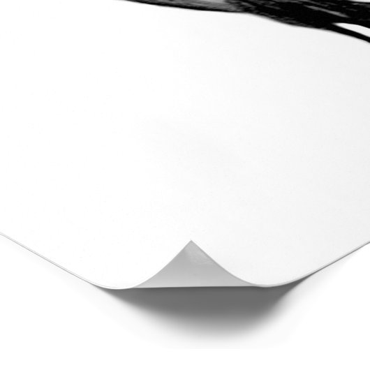 Dragon Schwarzweiß Design Poster (Ecke)