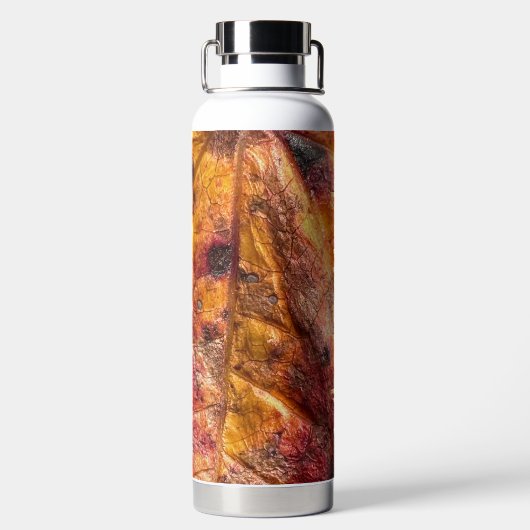 Dragon Skin Trinkflasche (Rückseite)