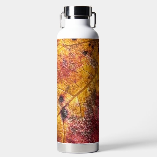 Dragon Skin Trinkflasche (Vorderseite)