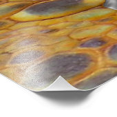 Dragon Slayer Fotodruck (Ecke)