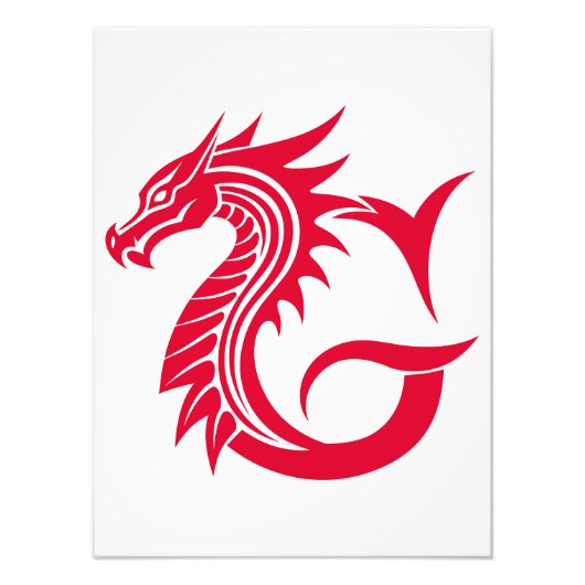 Dragon Styled Letter G, Dragon Alphabet, Monogram Fotodruck (Vorne)