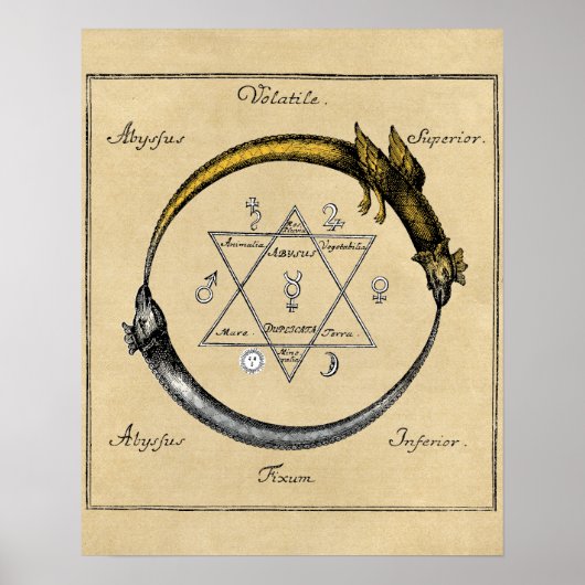 Dragon und Snake Ouroboros Mandala Poster (Vorne)