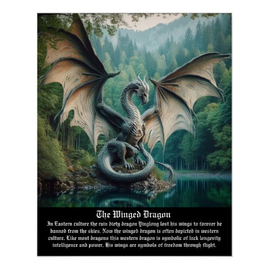 Dragon Winged Poster (Vorderseite)