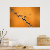 Dragondraht Poster (Küche)