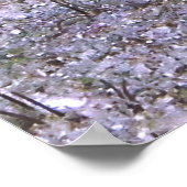 Dragonete II Poster (Ecke)