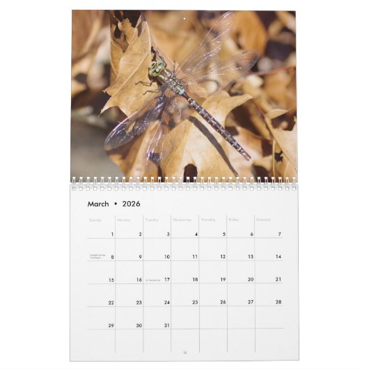 Dragonfis-Kalender Kalender (Mär 2026)