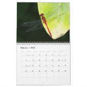 Dragonfis-Kalender Kalender (Feb 2026)