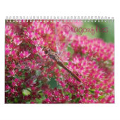 Dragonfis-Kalender Kalender (Titelbild)