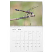 Dragonfis-Kalender Kalender (Jan 2026)