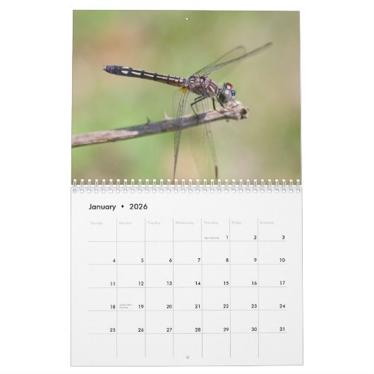 Dragonfis-Kalender Kalender (Jan 2026)