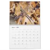 Dragonfis-Kalender Kalender (Mär 2027)