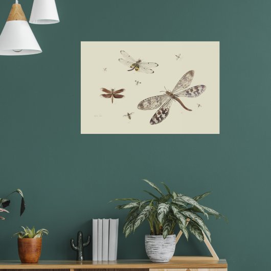 Dragonflies 18th century art poster (Wohnzimmer 1)