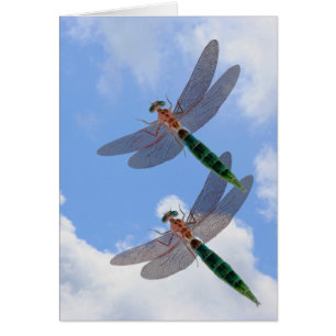 Dragonflies Blue Sky Clouds Nature Card