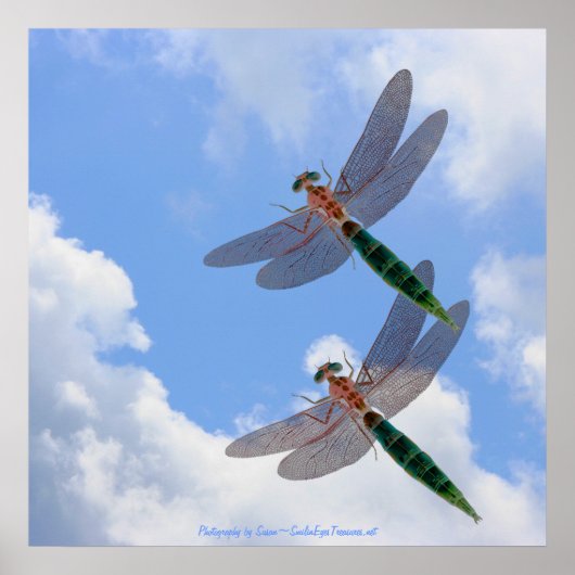 Dragonflies Blue Sky Fluffy Wolken Natur Print Poster (Vorne)