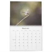 Dragonflies-Fotokalender Kalender (Mär 2027)