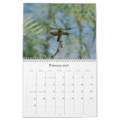Dragonflies-Fotokalender Kalender (Feb 2027)