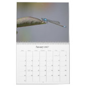 Dragonflies-Fotokalender Kalender (Jan 2027)
