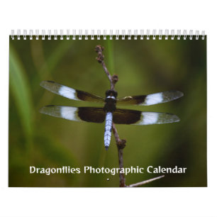 Dragonflies-Fotokalender Kalender