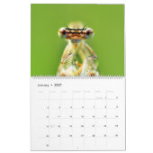 Dragonflies-Kalender Kalender (Jan 2027)