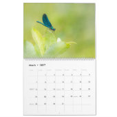 Dragonflies-Kalender Kalender (Mär 2027)
