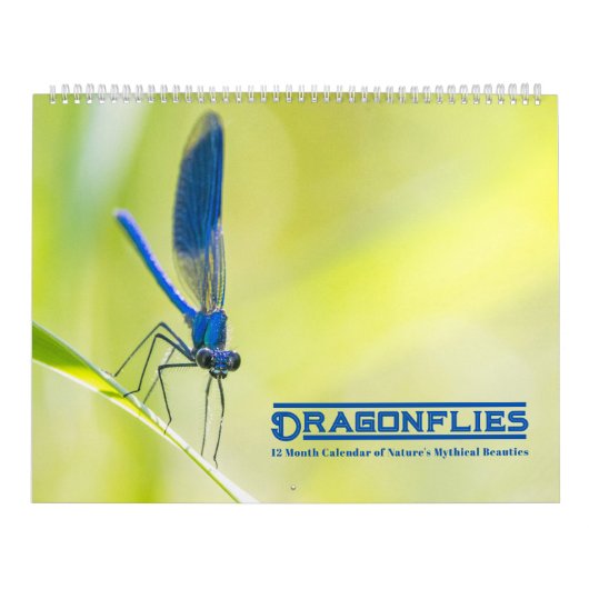 Dragonflies-Kalender Kalender (Titelbild)
