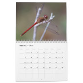 Dragonflies-Kalender Kalender (Feb 2026)
