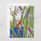 Dragonflies Summer Postkarte (Vorne/Hinten)
