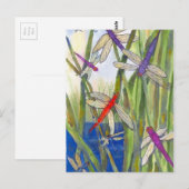 Dragonflies Summer Postkarte (Vorne/Hinten)