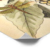Dragonflies with Leaves and Fruit Poster (Ecke)