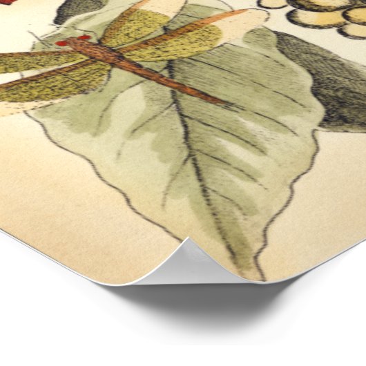 Dragonflies with Leaves and Fruit Poster (Ecke)