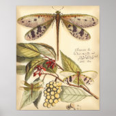 Dragonflies with Leaves and Fruit Poster (Vorne)